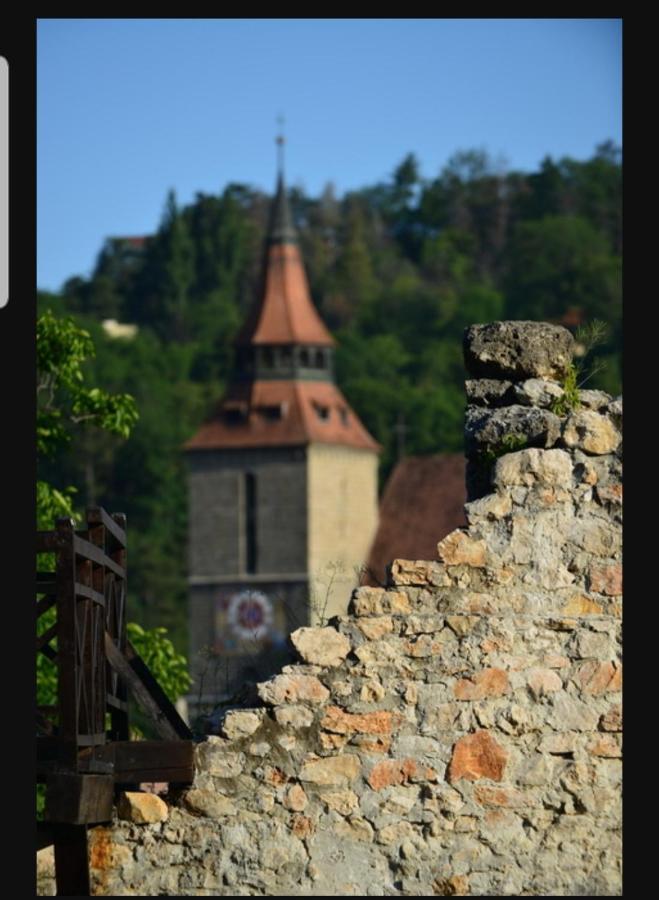 Avantgarden Brasov, Perfect Home - 1 Room Apartment Екстериор снимка